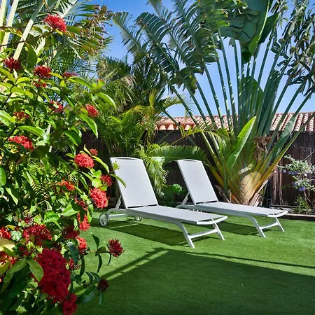 Happy Scape With Relaxing Garden *